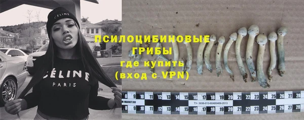 не бодяженный Алзамай