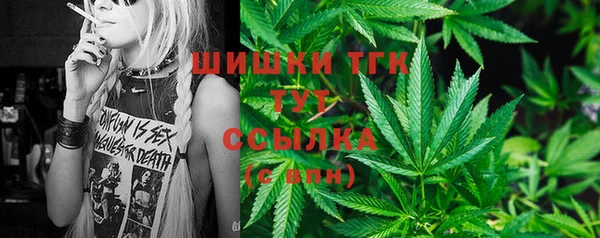 бошки Алексин