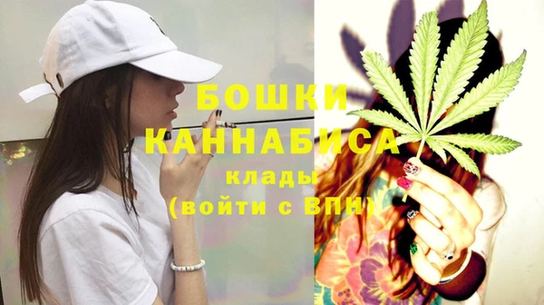 бошки Алексин